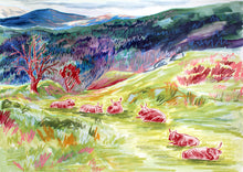 Load image into Gallery viewer, Sketch Card Pack