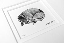 Load image into Gallery viewer, Winnie 2024
