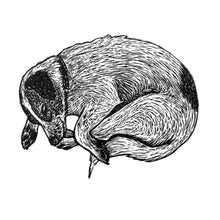 Load image into Gallery viewer, Winnie 2024