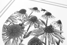 Load image into Gallery viewer, Bees and Echinacea II 2022