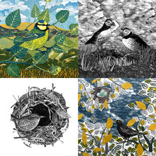 Load image into Gallery viewer, Bird Card Pack