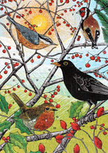 Load image into Gallery viewer, WHOLESALE LISTING British Birds Advent Calendar Greetings Card RRP £7.50