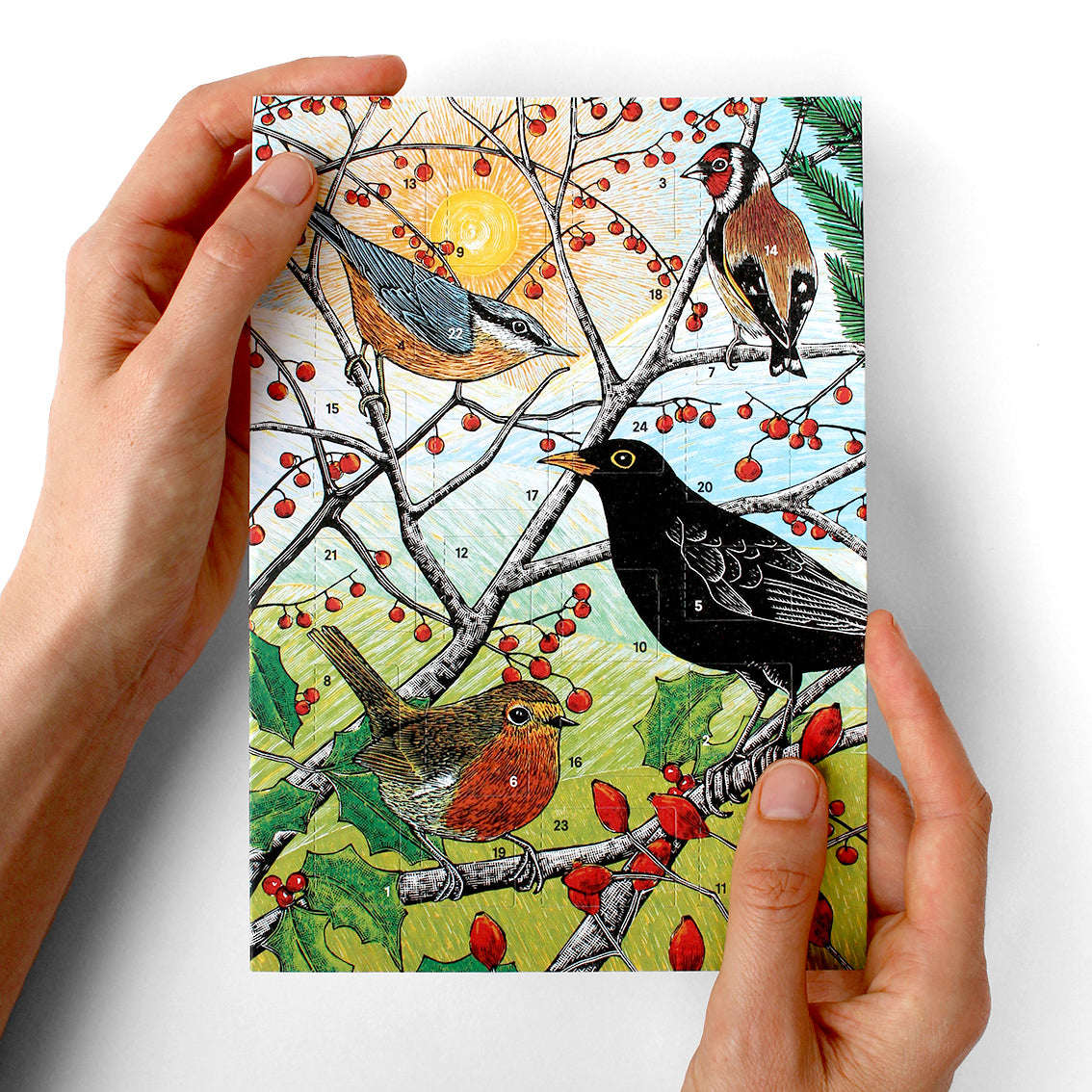 British Birds Advent Calendar Greetings Card Molly Lemon Art