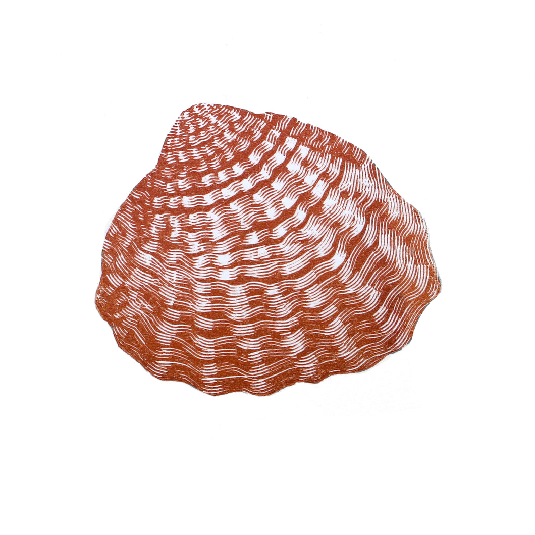 Cockle 2020