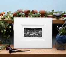 Load image into Gallery viewer, Molly Lemon Wood Engraving Geese