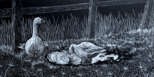 Load image into Gallery viewer, Molly Lemon Wood Engraving Geese