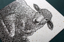 Load image into Gallery viewer, Robin and Sheep Letterpress Card Pack
