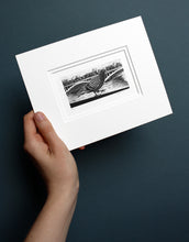 Load image into Gallery viewer, Molly Lemon Wood Engraving Pigeon