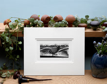 Load image into Gallery viewer, Molly Lemon Wood Engraving Pigeon