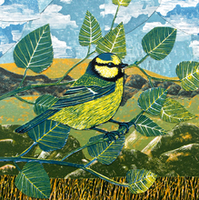 Load image into Gallery viewer, Bird Card Pack