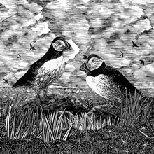 Load image into Gallery viewer, Bird Card Pack