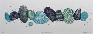 Seashells IV 2020