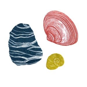 Seashells Mini 2020