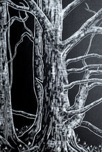Load image into Gallery viewer, Snowdrops 2019