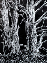 Load image into Gallery viewer, Snowdrops 2019