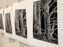Load image into Gallery viewer, Snowdrops 2019