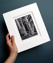 Load image into Gallery viewer, Molly Lemon Wood Engraving Snowdrops