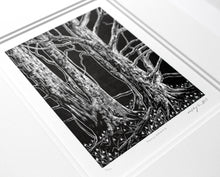 Load image into Gallery viewer, Molly Lemon Wood Engraving Snowdrops