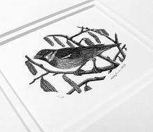 Load image into Gallery viewer, House Sparrow (Black and White) 2023