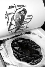 Load image into Gallery viewer, House Sparrow (Black and White) 2023