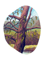Load image into Gallery viewer, Trees Card Pack
