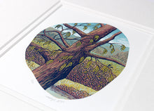 Load image into Gallery viewer, Catkins 2025
