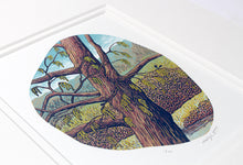Load image into Gallery viewer, Catkins 2025
