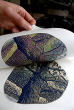 Load image into Gallery viewer, Catkins 2025
