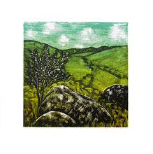 Load image into Gallery viewer, Dartmoor Study 2023
