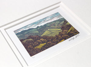 Devon Fields Study 2025