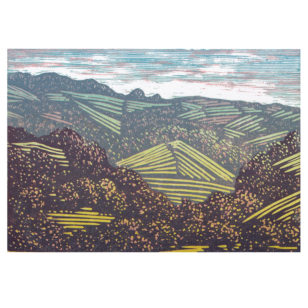Devon Fields Study 2025