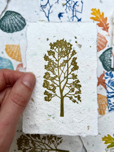 Print Lucky Dip 2023