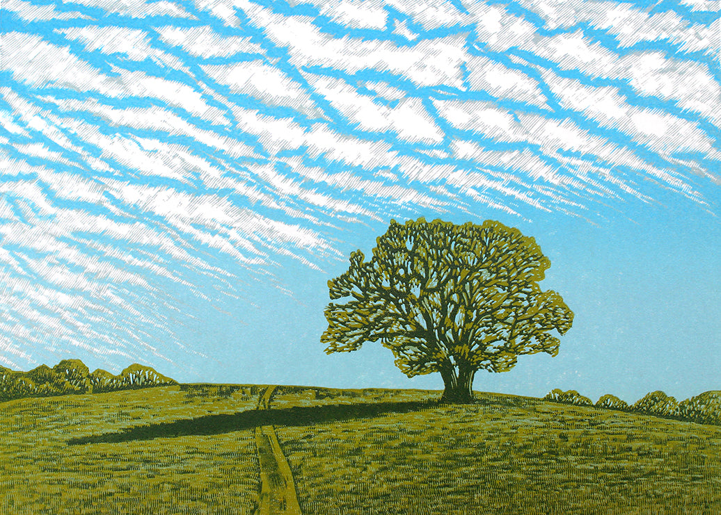 Mackerel Sky Card