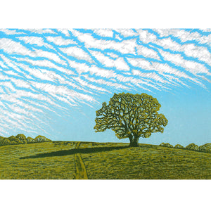 Mackerel Sky Card