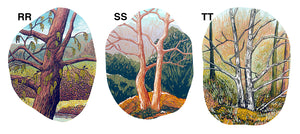 Custom Mix & Match x10 Cards