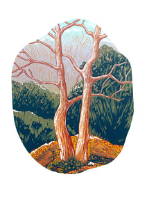 Trees Card Pack