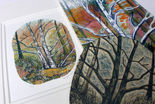 Load image into Gallery viewer, Silver Birch 2025
