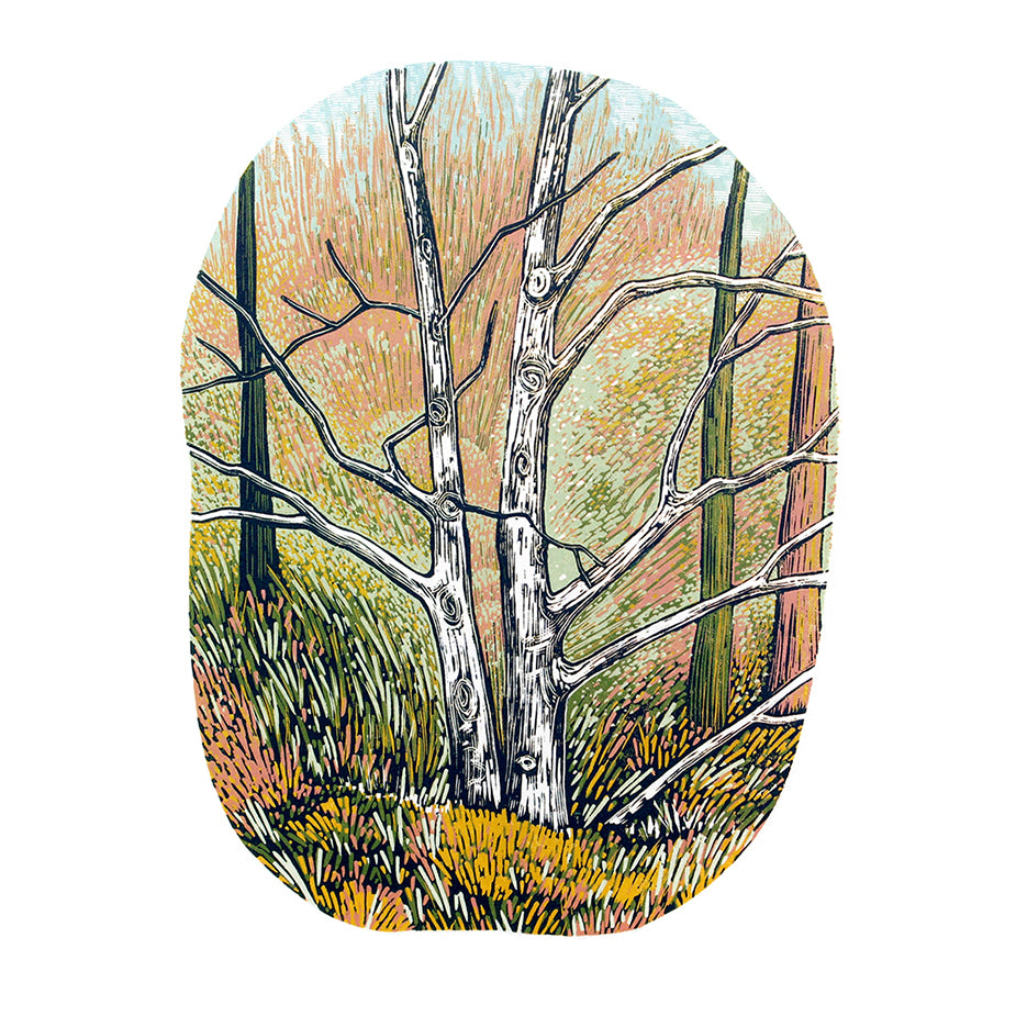 Silver Birch Card