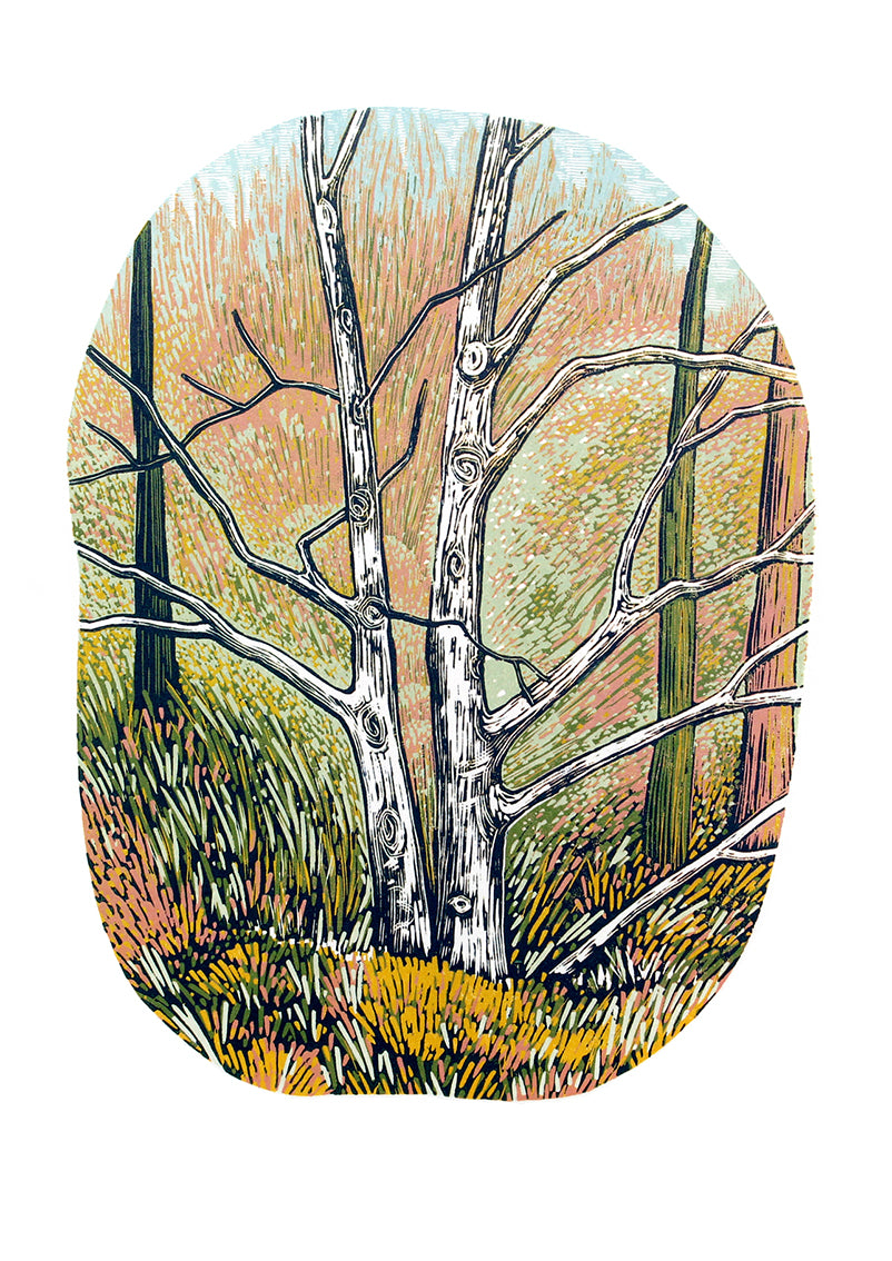 WHOLESALE LISTING Silver Birch Greetings Card RRP £3