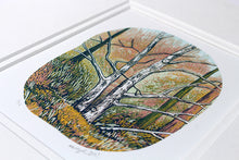 Load image into Gallery viewer, Silver Birch 2025
