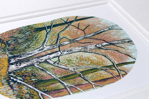 Silver Birch 2025