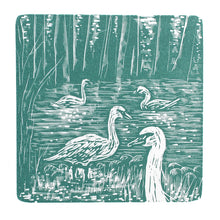 Load image into Gallery viewer, Swanning Study 2026
