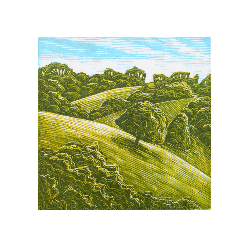 Teign Valley Study 2023