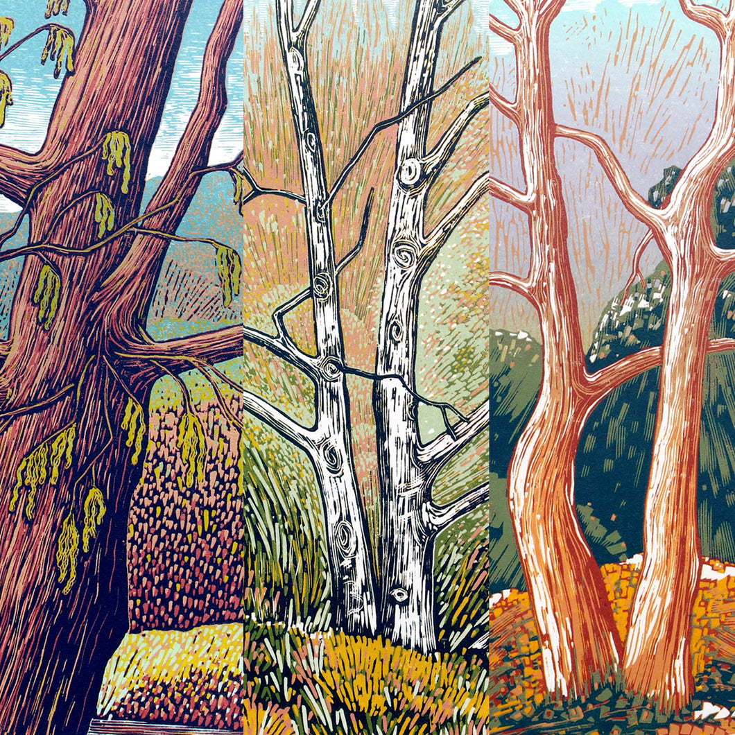 Trees Card Pack