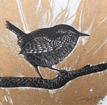 Load image into Gallery viewer, Wren and Feathers Experiments 2023
