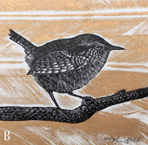 Wren and Feathers Experiments 2023