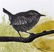Load image into Gallery viewer, Wren and Feathers Experiments 2023
