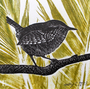 Wren and Feathers Experiments 2023