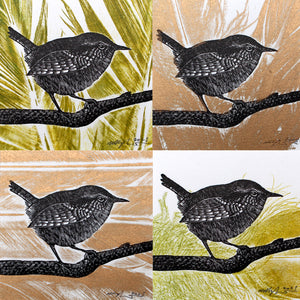 Wren and Feathers Experiments 2023