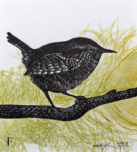 Wren and Feathers Experiments 2023